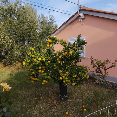 Daire Apartmaji Paliska B *