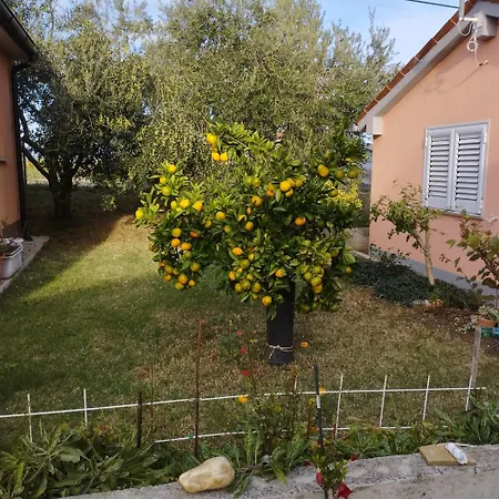 Apartamento Apartmaji Paliska B *